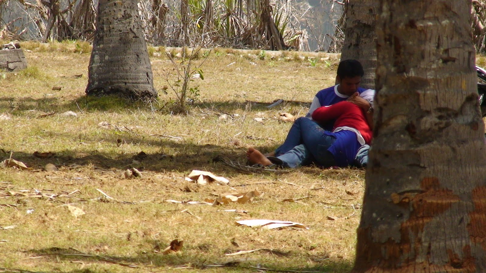 Hijab Viral Anak Indo Aku Mainin Putingnya Dari Belakang Kebun Sawit Top Global Wikwik 2026